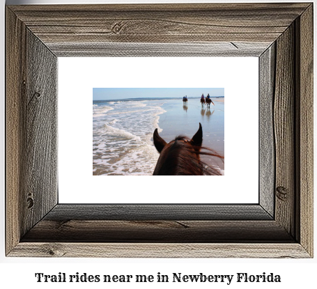 trail rides near me in Newberry, Florida